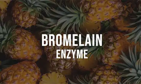How Bromelain Enzyme Powder Improves Protein Breakdown in Food Processing?